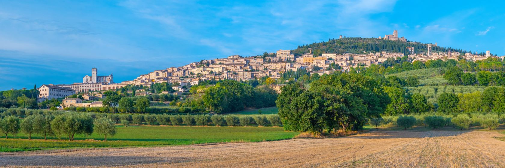 Assisi med f�lt och odlingar i f�rgrunden.